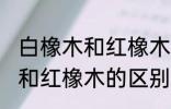 白橡木和红橡木的区别是什么 白橡木和红橡木的区别介绍