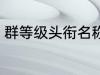 群等级头衔名称四个字 群名称有哪些