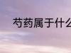 芍药属于什么花卉 芍药所属花卉