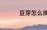 豆芽怎么摘 豆芽的洗法