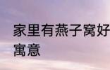 家里有燕子窝好不好 家里有燕子窝的寓意
